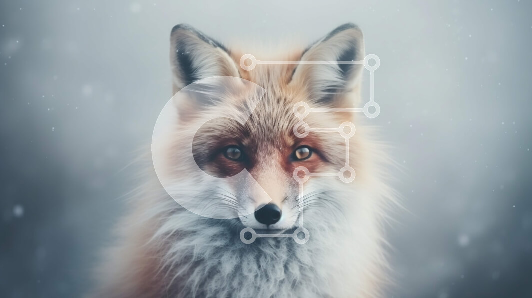 Σετ των 2 Intra Συλλεκτικό Ξύλινο Παζλ Plywood  4mm - Κοντινό πλάνο μιας πορτοκαλιάς αλεπούς στο χιόνι Σε Ξύλινο Κουτί - Διαστάσεις: 10x10 cm – 25 κομμάτια