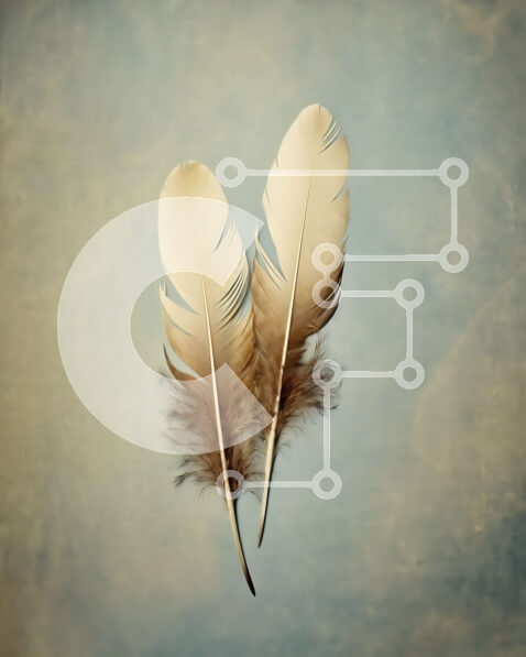 Intra Συλλεκτικό Ξύλινο Παζλ Plywood  4mm - Όμορφη εικόνα δύο λευκών φτερών Σε Ξύλινο Κουτί - Διαστάσεις: 10x10 cm – 25 κομμάτια