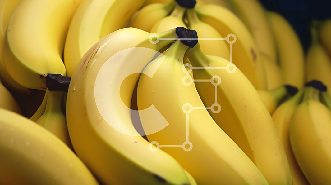 Σετ των 2 Intra Συλλεκτικό Ξύλινο Παζλ Plywood  4mm - Στοιβαγμένες μπανάνες Σε Ξύλινο Κουτί - Διαστάσεις: 10x10 cm – 25 κομμάτια