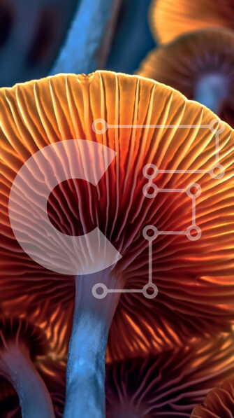 Σετ των 2 Intra Συλλεκτικό Ξύλινο Παζλ Plywood  4mm - Όμορφη εικόνα πορτοκαλί μανιταριών σε κούτσουρο δέντρου Σε Ξύλινο Κουτί - Διαστάσεις: 10x10 cm – 25 κομμάτια