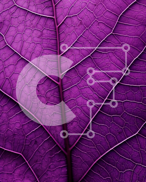 Intra Συλλεκτικό Ξύλινο Παζλ Plywood  4mm - Κοντινή όψη ενός μωβ φύλλου με περίπλοκες φλέβες και υφή Σε Ξύλινο Κουτί - Διαστάσεις: 10x10 cm – 25 κομμάτια