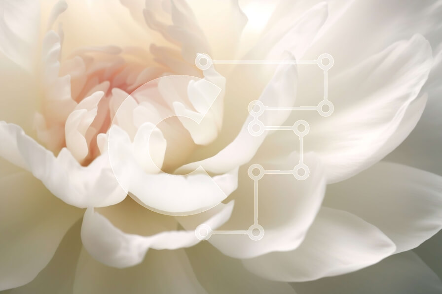 Intra Συλλεκτικό Ξύλινο Παζλ Plywood  4mm - Μαλακό και ονειρικό κοντινό πλάνο ενός λευκού λουλουδιού Σε Ξύλινο Κουτί - Διαστάσεις: 10x10 cm – 25 κομμάτια