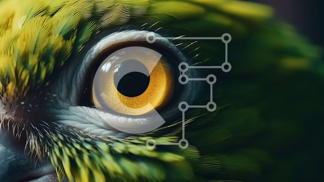 Intra Συλλεκτικό Ξύλινο Παζλ Plywood  4mm - Κοντινό πλάνο του ματιού ενός πολύχρωμου παπαγάλου Σε Ξύλινο Κουτί - Διαστάσεις: 10x10 cm – 25 κομμάτια