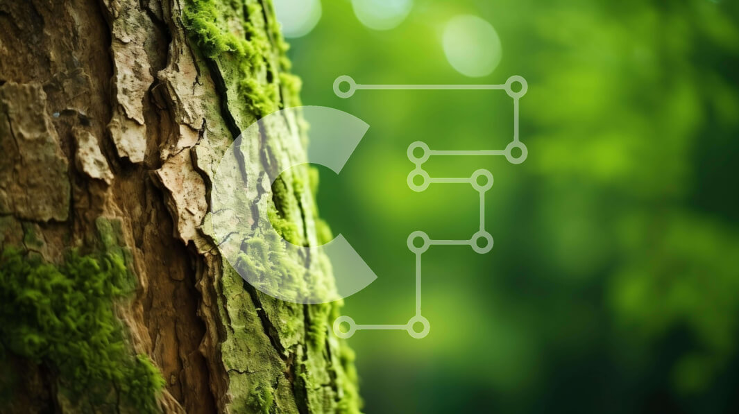 Intra Συλλεκτικό Ξύλινο Παζλ Plywood  4mm - Κοντινό πλάνο πράσινου κορμού δέντρου με βρύα Σε Ξύλινο Κουτί - Διαστάσεις: 10x10 cm – 25 κομμάτια