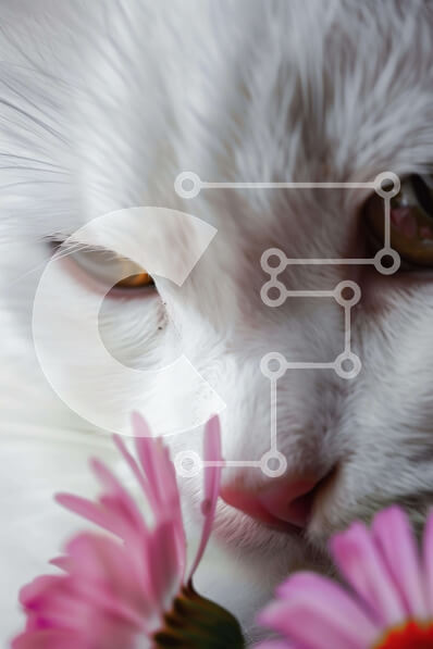 Σετ των 2 Intra Συλλεκτικό Ξύλινο Παζλ Plywood  4mm - Λευκή γάτα που μυρίζει ροζ λουλούδια στον κήπο Σε Ξύλινο Κουτί - Διαστάσεις: 10x10 cm – 25 κομμάτια