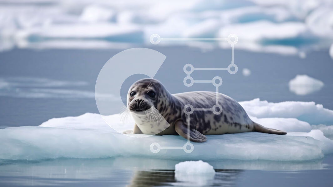 Intra Συλλεκτικό Ξύλινο Παζλ Plywood  4mm - Όμορφη εικόνα μιας φώκιας που στηρίζεται σε ένα δάπεδο πάγου στον Αρκτικό Ωκεανό Σε Ξύλινο Κουτί - Διαστάσεις: 10x10 cm – 25 κομμάτια