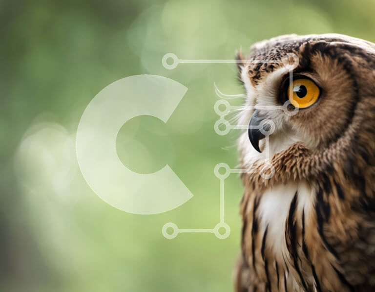 Σετ των 2 Intra Συλλεκτικό Ξύλινο Παζλ Plywood  4mm - Κοντινή όψη του προσώπου μιας κουκουβάγιας Σε Ξύλινο Κουτί - Διαστάσεις: 10x10 cm – 25 κομμάτια