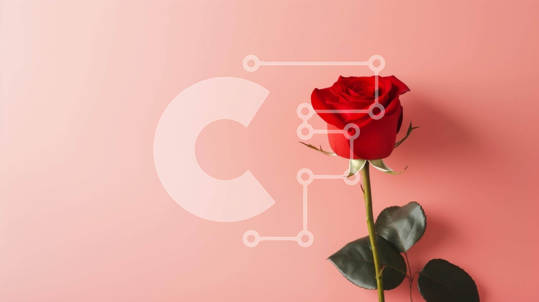 Intra Συλλεκτικό Ξύλινο Παζλ Plywood  4mm - Μονό κόκκινο τριαντάφυλλο σε υπόλευκο φόντο Σε Ξύλινο Κουτί - Διαστάσεις: 10x10 cm – 25 κομμάτια