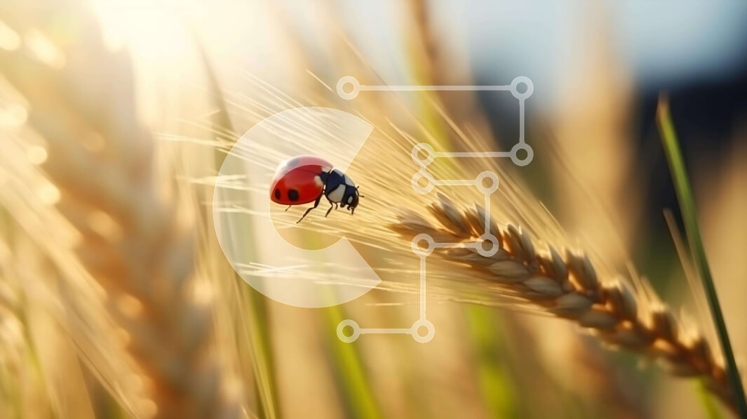 Intra Συλλεκτικό Ξύλινο Παζλ Plywood  4mm - Πασχαλίτσα σε στέλεχος σίτου σε φυσικό βιότοπο Σε Ξύλινο Κουτί - Διαστάσεις: 10x10 cm – 25 κομμάτια