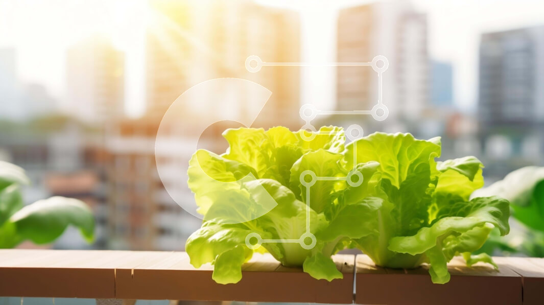 Intra Συλλεκτικό Ξύλινο Παζλ Plywood  4mm - Πράσινα φυτά μαρουλιού που αναπτύσσονται σε ξύλινο κιγκλίδωμα Σε Ξύλινο Κουτί - Διαστάσεις: 10x10 cm – 25 κομμάτια