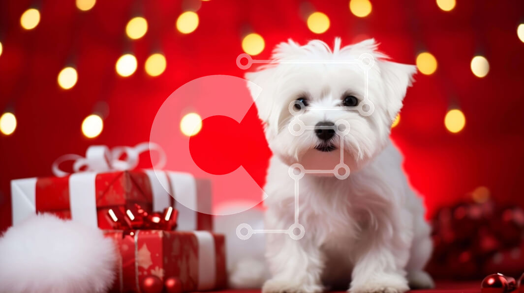 Σετ των 2 Intra Συλλεκτικό Ξύλινο Παζλ Plywood  4mm - Εορταστικό σκυλί με χριστουγεννιάτικα δώρα Σε Ξύλινο Κουτί - Διαστάσεις: 10x10 cm – 25 κομμάτια