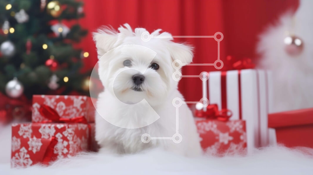 Intra Συλλεκτικό Ξύλινο Παζλ Plywood  4mm - Χνουδωτό λευκό σκυλί που περιβάλλεται από δώρα διακοπών Σε Ξύλινο Κουτί - Διαστάσεις: 10x10 cm – 25 κομμάτια