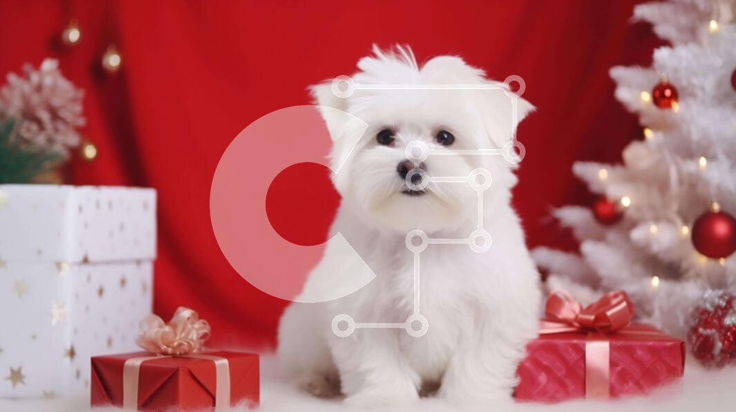 Σετ των 2 Intra Συλλεκτικό Ξύλινο Παζλ Plywood  4mm - Χνουδωτό λευκό σκυλί σε εορταστικό περιβάλλον διακοπών Σε Ξύλινο Κουτί - Διαστάσεις: 10x10 cm – 25 κομμάτια