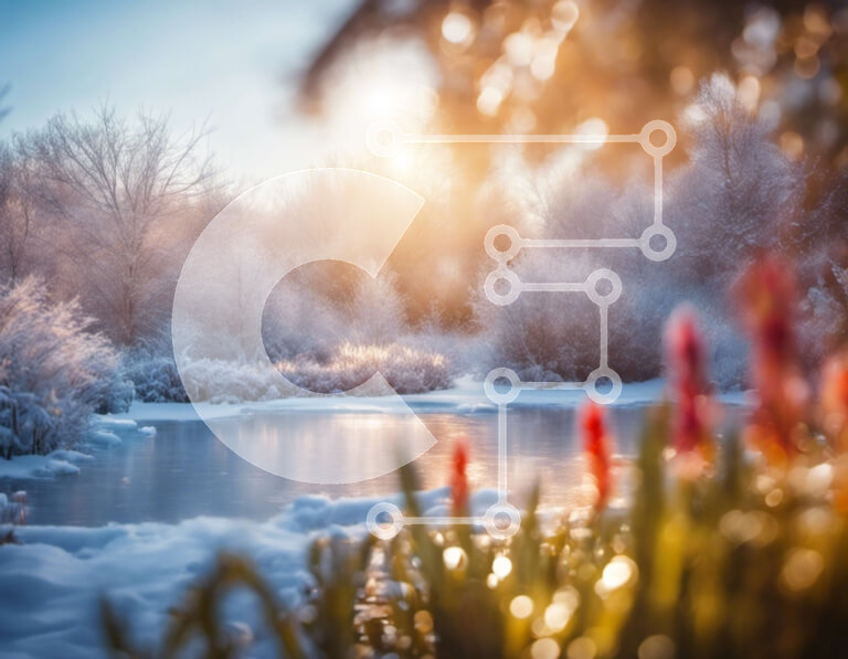 Intra Συλλεκτικό Ξύλινο Παζλ Plywood  4mm - Χειμερινή χώρα των θαυμάτων: Παγωμένη λίμνη με χιονισμένα δέντρα και λουλούδια Σε Ξύλινο Κουτί - Διαστάσεις: 10x10 cm – 25 κομμάτια