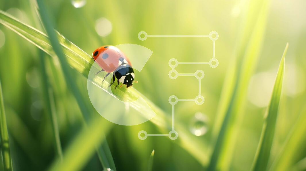 Intra Συλλεκτικό Ξύλινο Παζλ Plywood  4mm - Κοντινό πλάνο μιας πασχαλίτσας στο πράσινο γρασίδι Σε Ξύλινο Κουτί - Διαστάσεις: 10x10 cm – 25 κομμάτια