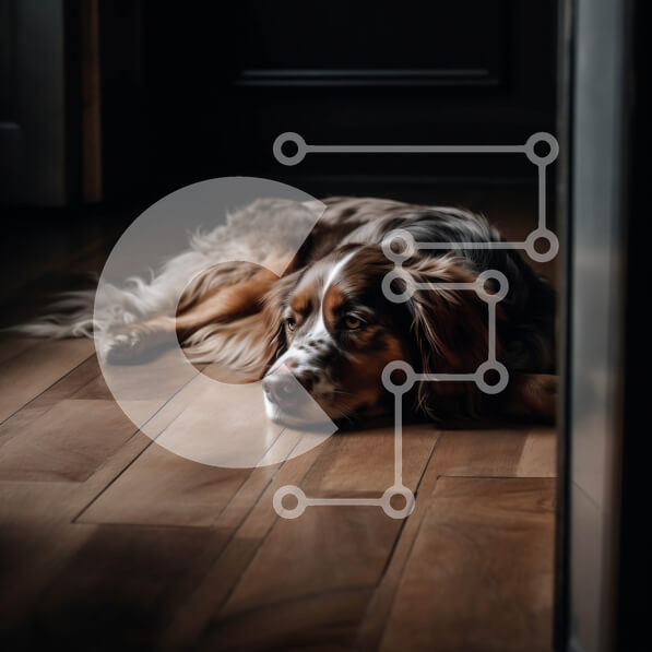 Intra Συλλεκτικό Ξύλινο Παζλ Plywood  4mm - Κουρασμένος σκύλος που στηρίζεται σε ένα ξύλινο πάτωμα Σε Ξύλινο Κουτί - Διαστάσεις: 10x10 cm – 25 κομμάτια