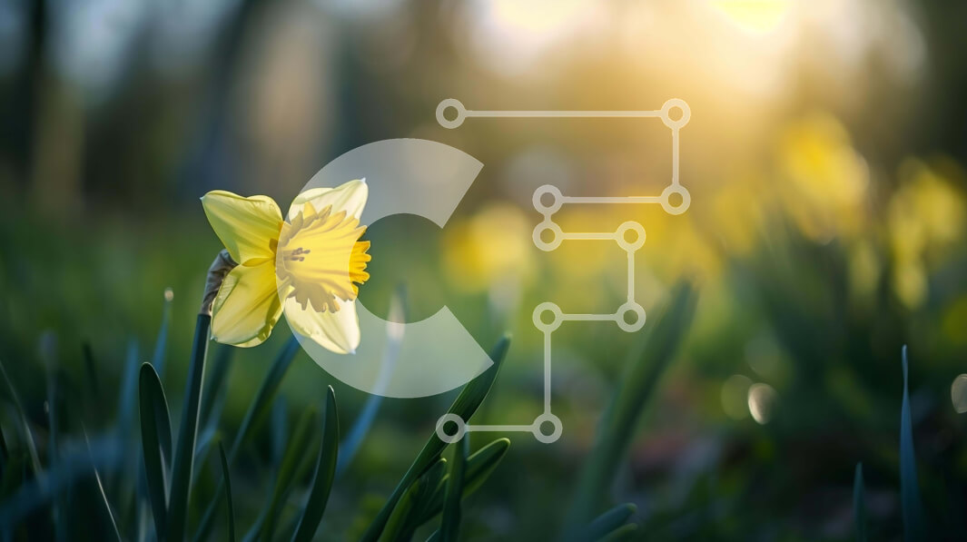 Intra Συλλεκτικό Ξύλινο Παζλ Plywood  4mm - Ενιαίο κίτρινο λουλούδι ασφόδελου σε ένα χωράφι στο ηλιοβασίλεμα Σε Ξύλινο Κουτί - Διαστάσεις: 10x10 cm – 25 κομμάτια