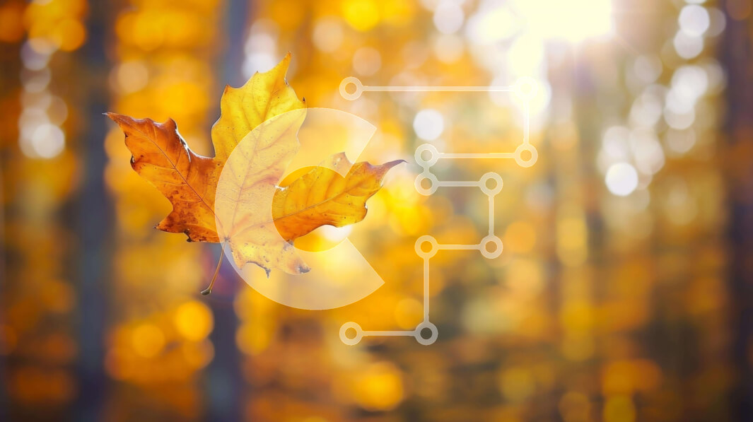 Intra Συλλεκτικό Ξύλινο Παζλ Plywood  4mm - Μονό κίτρινο φύλλο που επιπλέει ανάμεσα στα φθινοπωρινά δέντρα Σε Ξύλινο Κουτί - Διαστάσεις: 10x10 cm – 25 κομμάτια