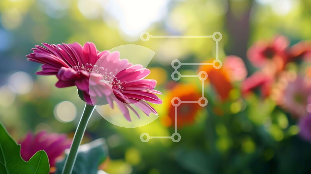 Intra Συλλεκτικό Ξύλινο Παζλ Plywood  4mm - Ροζ λουλούδι σε ειδυλλιακό εξωτερικό περιβάλλον Σε Ξύλινο Κουτί - Διαστάσεις: 10x10 cm – 25 κομμάτια