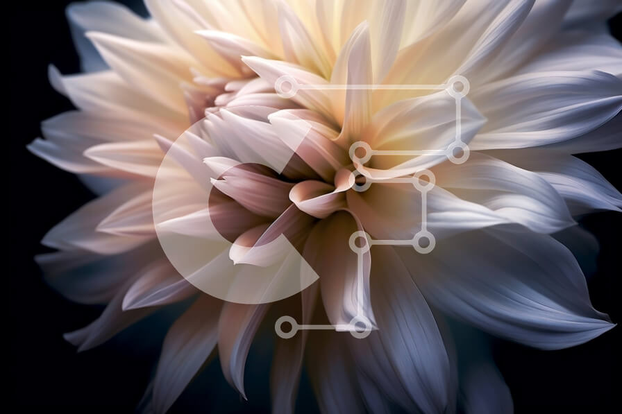 Intra Συλλεκτικό Ξύλινο Παζλ Plywood  4mm - Κοντινή λήψη ενός λευκού λουλουδιού με πέταλα ελαφρώς εκτός εστίασης Σε Ξύλινο Κουτί - Διαστάσεις: 10x10 cm – 25 κομμάτια