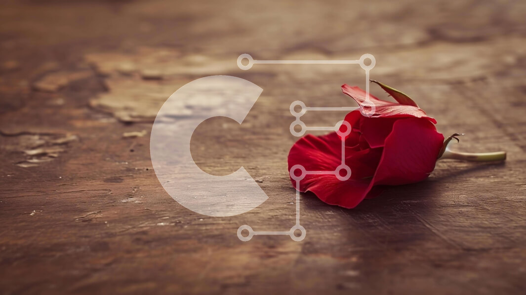 Intra Συλλεκτικό Ξύλινο Παζλ Plywood  4mm - Μονό κόκκινο τριαντάφυλλο σε παλιό ξύλινο τραπέζι Σε Ξύλινο Κουτί - Διαστάσεις: 10x10 cm – 25 κομμάτια