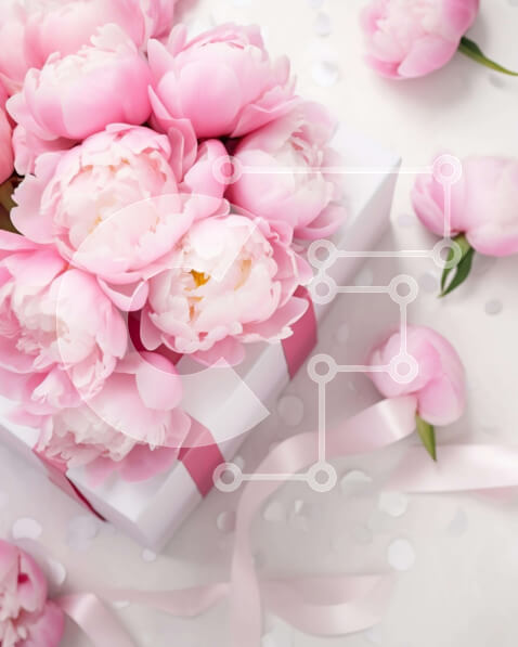 Intra Συλλεκτικό Ξύλινο Παζλ Plywood  4mm - Ροζ παιώνιες και κορδέλες για ειδική περίσταση Σε Ξύλινο Κουτί - Διαστάσεις: 10x10 cm – 25 κομμάτια