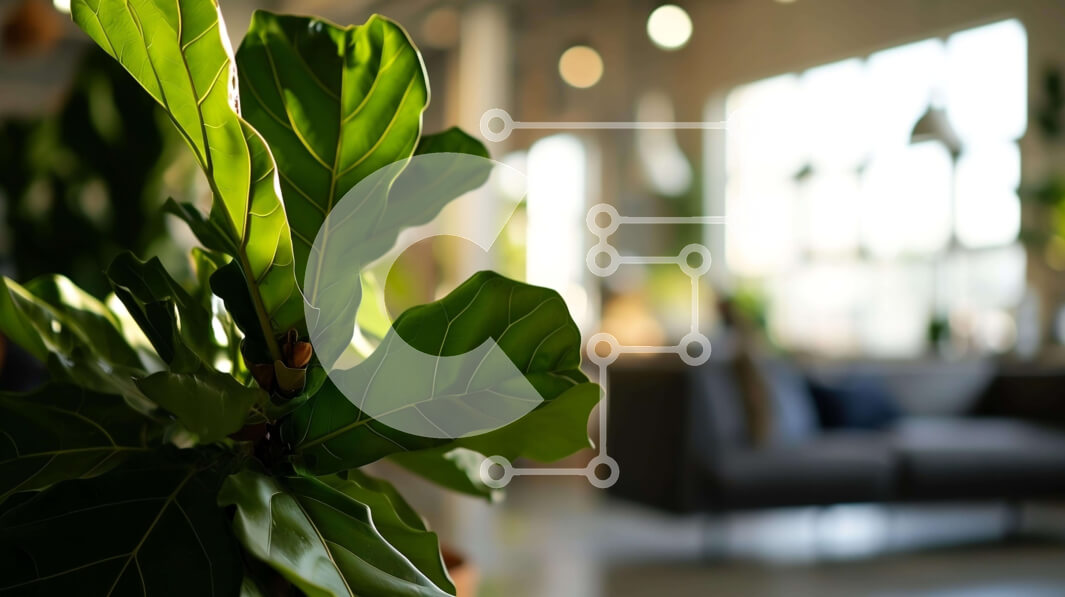 Intra Συλλεκτικό Ξύλινο Παζλ Plywood  4mm - Φυτό σε γλάστρα σε ανοιχτό χώρο διαβίωσης Σε Ξύλινο Κουτί - Διαστάσεις Puzzle: 10x10 cm – 25 κομμάτια