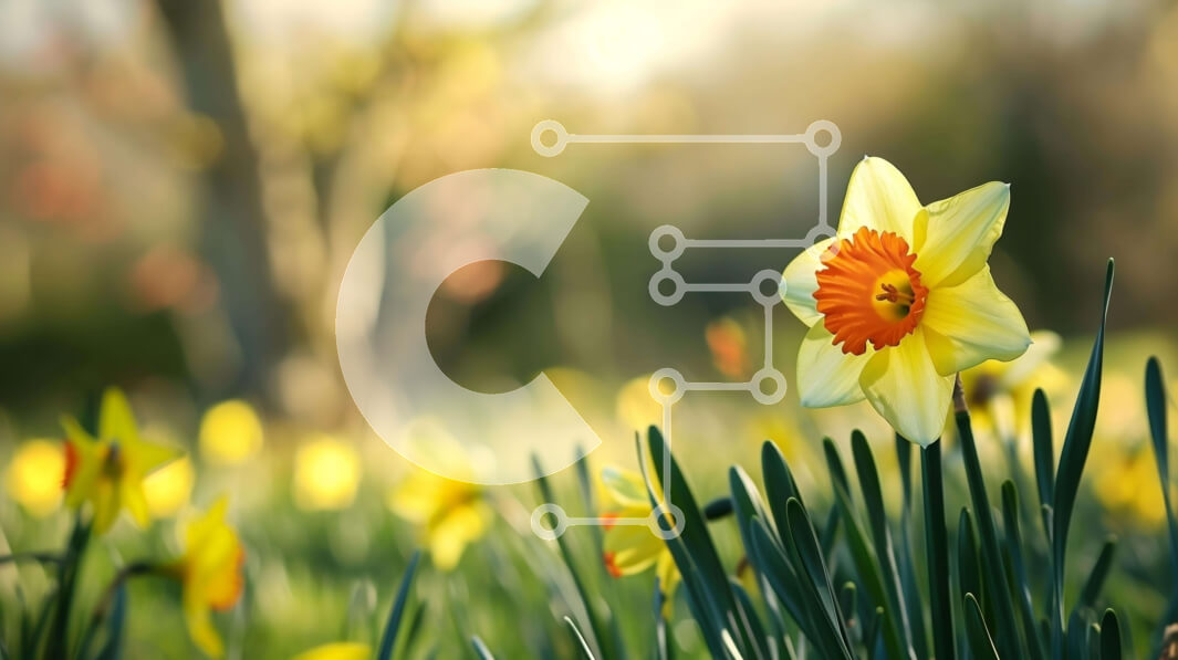 Intra Συλλεκτικό Ξύλινο Παζλ Plywood  4mm - Κίτρινο και πορτοκαλί λουλούδι ασφόδελου σε ανοιχτό πράσινο πεδίο Σε Ξύλινο Κουτί - Διαστάσεις: 10x10 cm – 25 κομμάτια