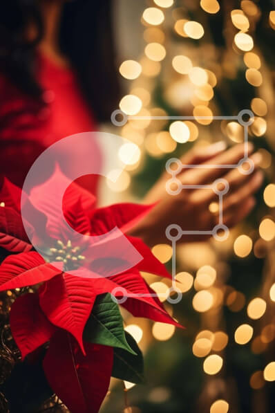 Intra Συλλεκτικό Ξύλινο Παζλ Plywood  4mm - Γυναίκα με κόκκινο φόρεμα με λουλούδι Poinsettia και χριστουγεννιάτικο δέντρο Σε Ξύλινο Κουτί - Διαστάσεις: 10x10 cm – 25 κομμάτια