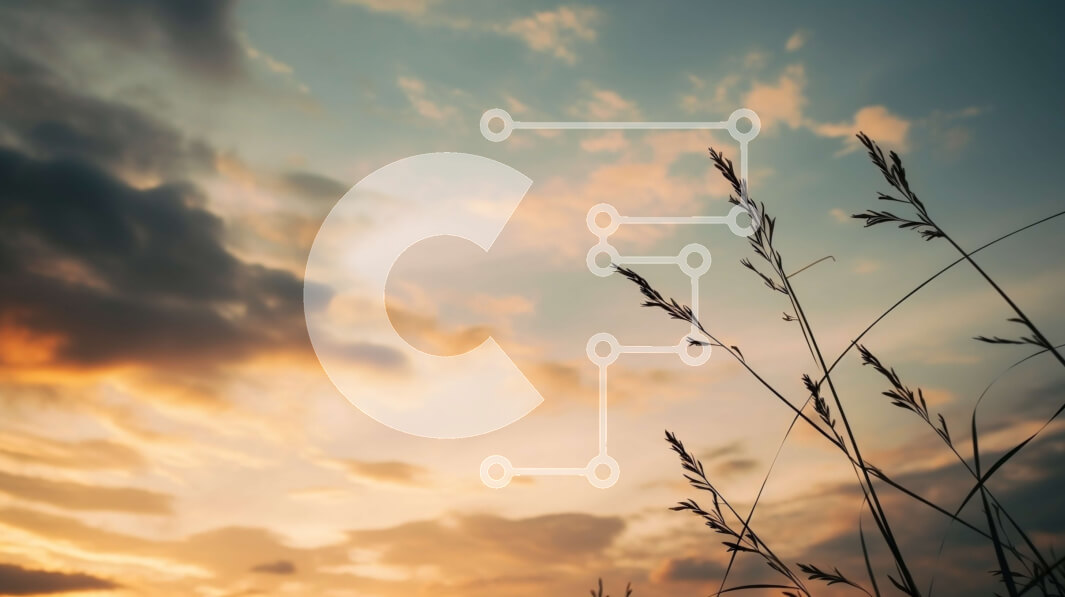 Intra Συλλεκτικό Ξύλινο Παζλ Plywood  4mm - Όμορφο ηλιοβασίλεμα με σιλουέτα ψηλών χόρτων Σε Ξύλινο Κουτί - Διαστάσεις: 10x10 cm – 25 κομμάτια