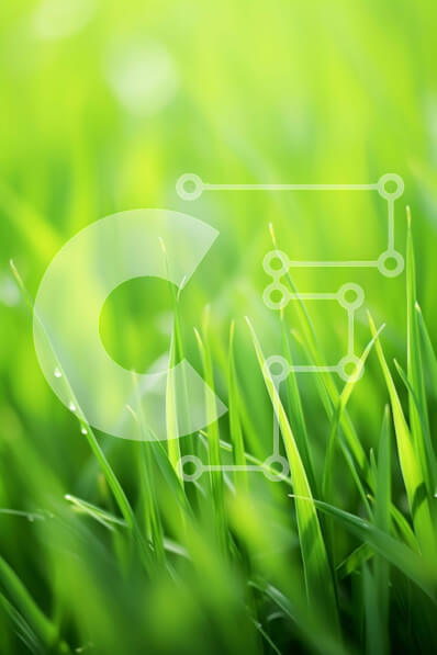 Σετ των 2 Intra Συλλεκτικό Ξύλινο Παζλ Plywood  4mm - Φρεσκοκομμένο πράσινο γρασίδι με σταγονίδια νερού Σε Ξύλινο Κουτί - Διαστάσεις: 10x10 cm – 25 κομμάτια