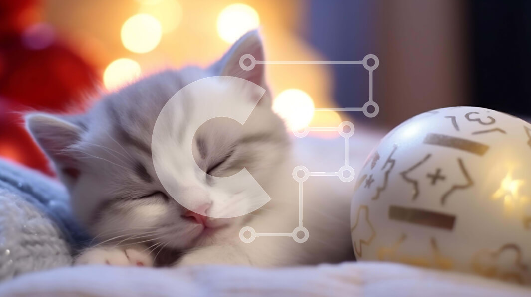 Σετ των 2 Intra Συλλεκτικό Ξύλινο Παζλ Plywood  4mm - Λευκό γατάκι που κοιμάται στην κορυφή της διακοσμητικής μπάλας Σε Ξύλινο Κουτί - Διαστάσεις: 10x10 cm – 25 κομμάτια