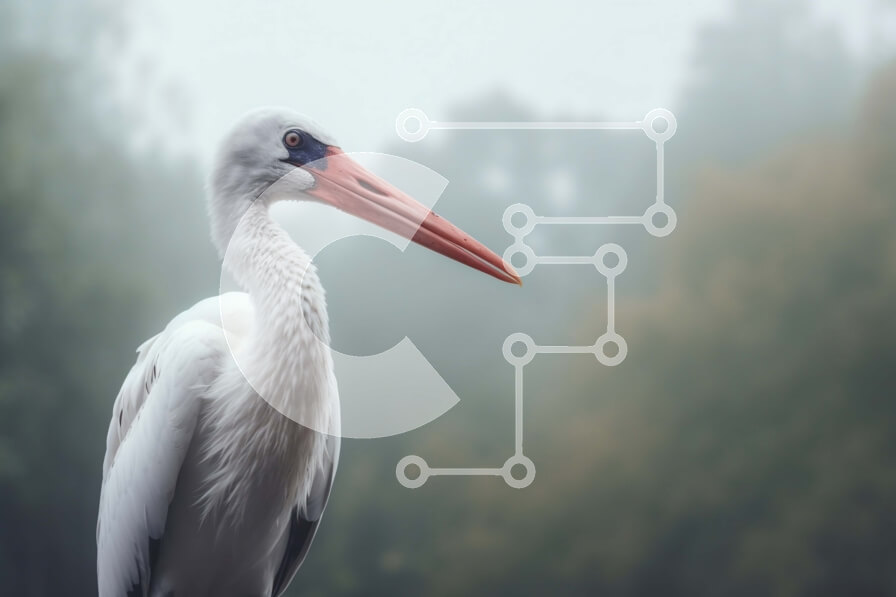 Intra Συλλεκτικό Ξύλινο Παζλ Plywood  4mm - Λευκό πουλί που στέκεται στην ομίχλη με ορατό μακρύ ράμφος Σε Ξύλινο Κουτί - Διαστάσεις: 10x10 cm – 25 κομμάτια