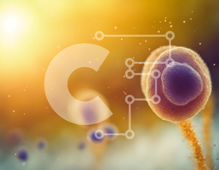 Intra Συλλεκτικό Ξύλινο Παζλ Plywood  4mm - Κοντινή όψη του ουδετερόφιλου - λευκών αιμοσφαιρίων Σε Ξύλινο Κουτί - Διαστάσεις Puzzle: 10x10 cm – 25 κομμάτια