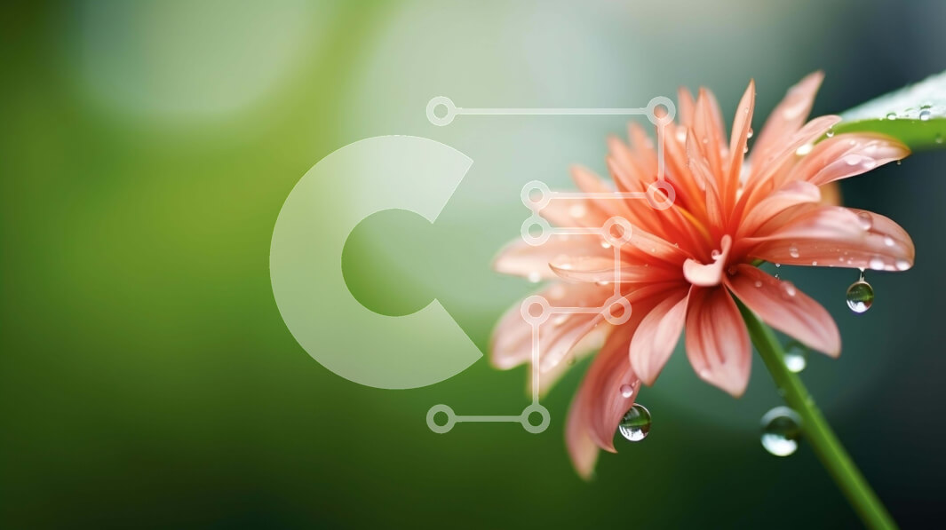 Intra Συλλεκτικό Ξύλινο Παζλ Plywood  4mm - Μονό ροζ λουλούδι με σταγονίδια νερού Σε Ξύλινο Κουτί - Διαστάσεις: 10x10 cm – 25 κομμάτια