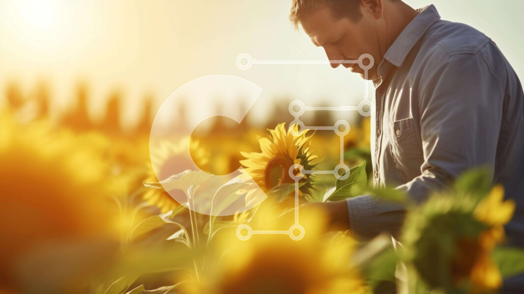 Intra Συλλεκτικό Ξύλινο Παζλ Plywood  4mm - Άτομο που επιθεωρεί ηλίανθους στο χωράφι Σε Ξύλινο Κουτί - Διαστάσεις: 10x10 cm – 25 κομμάτια