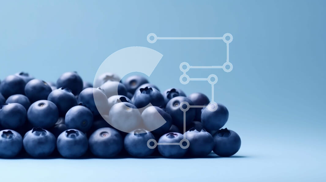 Σετ των 2 Intra Συλλεκτικό Ξύλινο Παζλ Plywood  4mm - Σωρός βακκίνια - φρέσκα και υγιεινά Σε Ξύλινο Κουτί - Διαστάσεις: 10x10 cm – 25 κομμάτια