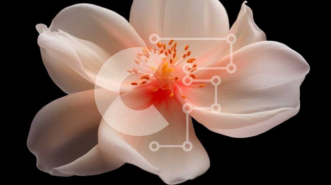 Intra Συλλεκτικό Ξύλινο Παζλ Plywood  4mm - Κοντινό πλάνο του ανθισμένου λευκού λουλουδιού σε μαύρο φόντο Σε Ξύλινο Κουτί - Διαστάσεις: 10x10 cm – 25 κομμάτια