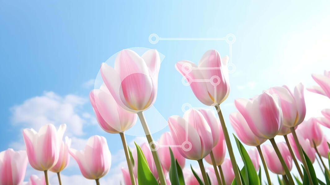 Intra Συλλεκτικό Ξύλινο Παζλ Plywood  4mm - Ομάδα ροζ τουλίπες σε άνθιση με μπλε ουρανό και πράσινο γρασίδι Σε Ξύλινο Κουτί - Διαστάσεις: 10x10 cm – 25 κομμάτια