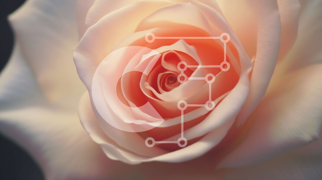 Intra Συλλεκτικό Ξύλινο Παζλ Plywood  4mm - Κοντινό πλάνο ενός ανθισμένου πορτοκαλιού τριαντάφυλλου Σε Ξύλινο Κουτί - Διαστάσεις: 10x10 cm – 25 κομμάτια