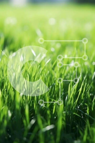 Σετ των 2 Intra Συλλεκτικό Ξύλινο Παζλ Plywood  4mm - Πράσινο χωράφι με γρασίδι με το φως του ήλιου Σε Ξύλινο Κουτί - Διαστάσεις: 10x10 cm – 25 κομμάτια