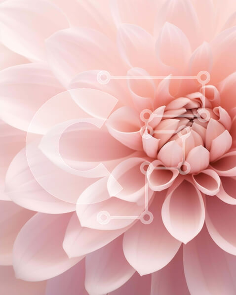 Intra Συλλεκτικό Ξύλινο Παζλ Plywood  4mm - Κοντινό πλάνο ενός ελκυστικού ροζ λουλουδιού Σε Ξύλινο Κουτί - Διαστάσεις: 10x10 cm – 25 κομμάτια