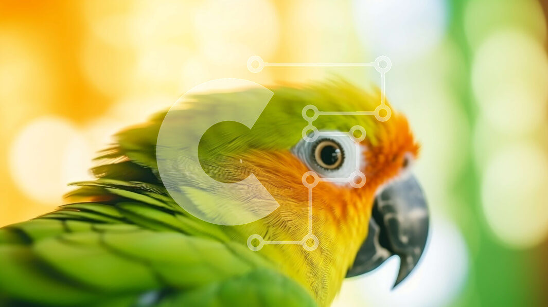 Σετ των 2 Intra Συλλεκτικό Ξύλινο Παζλ Plywood  4mm - Πολύχρωμος παπαγάλος σε ζωντανό φόντο Σε Ξύλινο Κουτί - Διαστάσεις: 10x10 cm – 25 κομμάτια