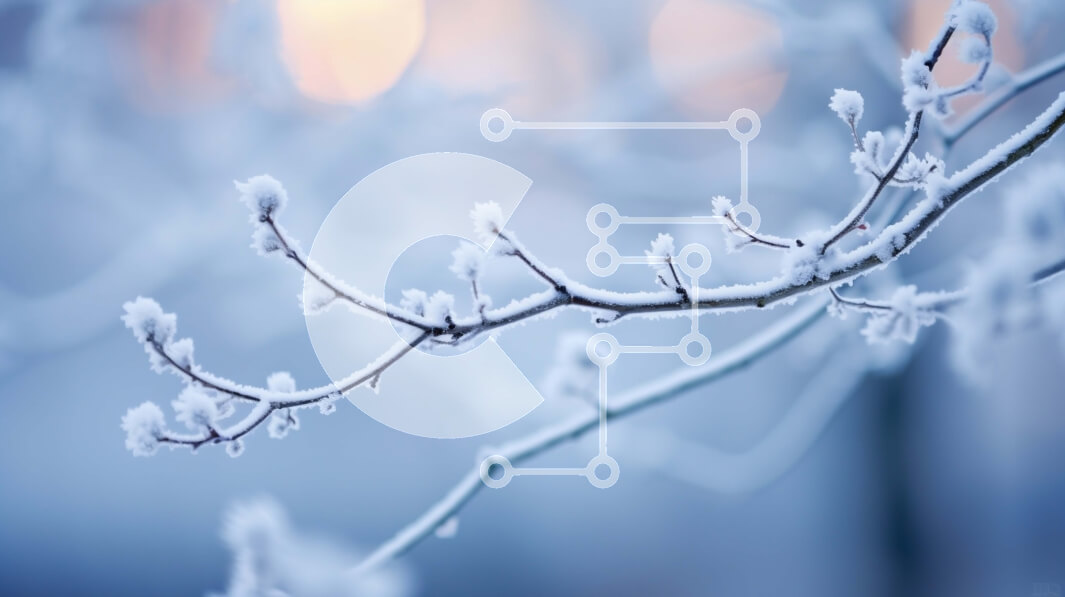 Intra Συλλεκτικό Ξύλινο Παζλ Plywood  4mm - Χιονισμένο κλαδί δέντρου με παγάκια Σε Ξύλινο Κουτί - Διαστάσεις: 10x10 cm – 25 κομμάτια