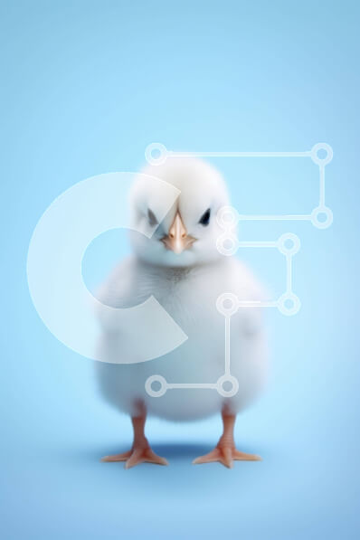 Σετ των 2 Intra Συλλεκτικό Ξύλινο Παζλ Plywood  4mm - Περίεργο λευκό κοτόπουλο σε γαλάζιο φόντο Σε Ξύλινο Κουτί - Διαστάσεις: 10x10 cm – 25 κομμάτια