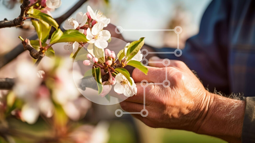 Intra Συλλεκτικό Ξύλινο Παζλ Plywood  4mm - Άτομο που εργάζεται σε κλαδιά δέντρων μηλιάς Σε Ξύλινο Κουτί - Διαστάσεις: 10x10 cm – 25 κομμάτια