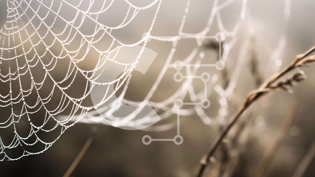 Intra Συλλεκτικό Ξύλινο Παζλ Plywood  4mm - Ιστός αράχνης με σταγόνες δροσιάς στο ψηλό γρασίδι Σε Ξύλινο Κουτί - Διαστάσεις: 10x10 cm – 25 κομμάτια