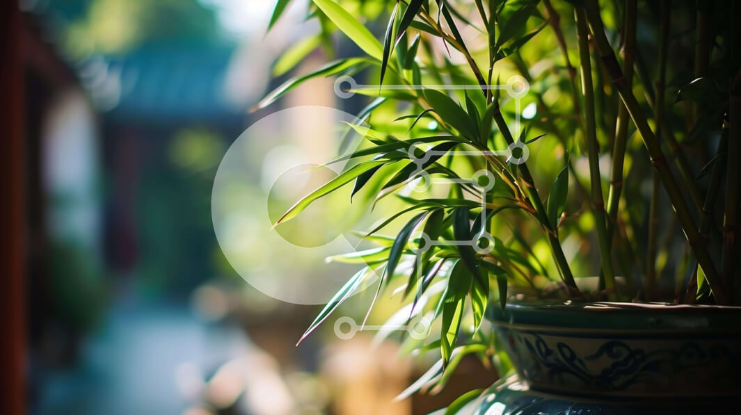 Intra Συλλεκτικό Ξύλινο Παζλ Plywood  4mm - Φυτό σε γλάστρα με πράσινα φύλλα σε δωμάτιο Σε Ξύλινο Κουτί - Διαστάσεις: 10x10 cm – 25 κομμάτια