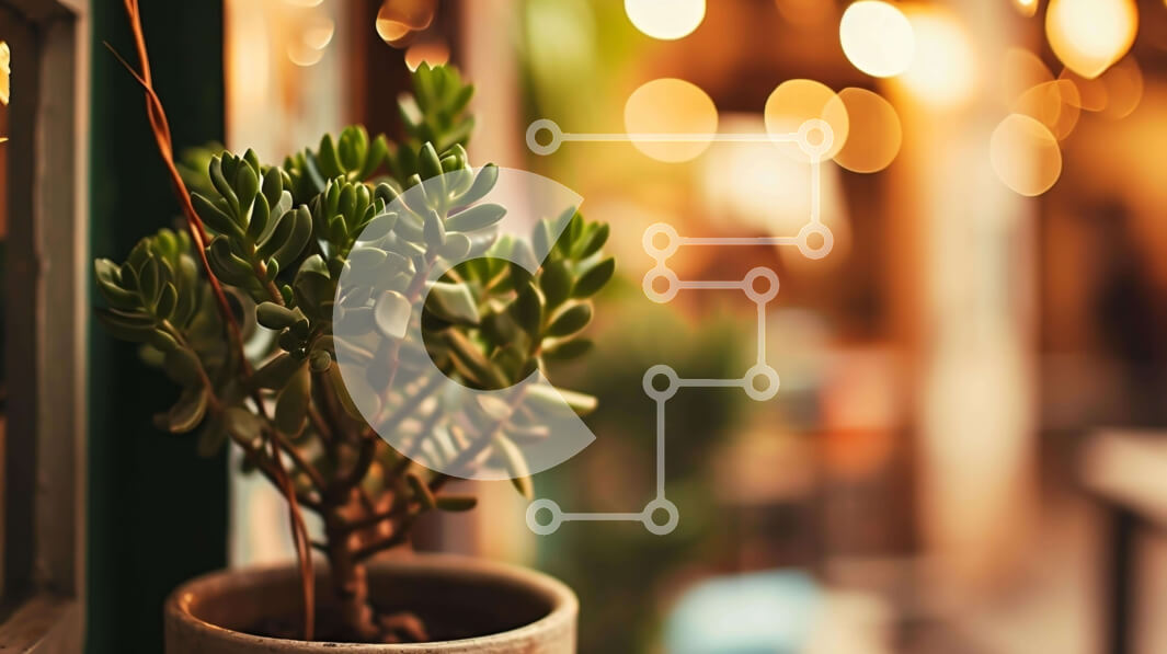 Intra Συλλεκτικό Ξύλινο Παζλ Plywood  4mm - Φυτό σε γλάστρα στο περβάζι παραθύρου στον εσωτερικό χώρο Σε Ξύλινο Κουτί - Διαστάσεις Puzzle: 10x10 cm – 25 κομμάτια