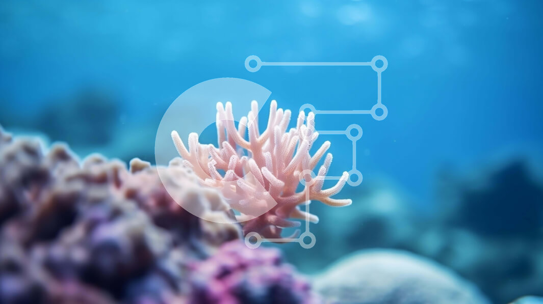 Intra Συλλεκτικό Ξύλινο Παζλ Plywood  4mm - Υγιές ροζ κοράλλι που αναπτύσσεται στην επιφάνεια του ωκεανού Σε Ξύλινο Κουτί - Διαστάσεις: 10x10 cm – 25 κομμάτια